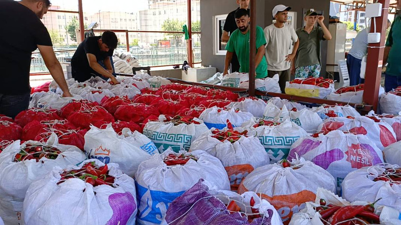 Karaisalı biberi üreticinin elinde kaldı: 'Geçen yıl 25, bu yıl 19 TL' - Resim: 2